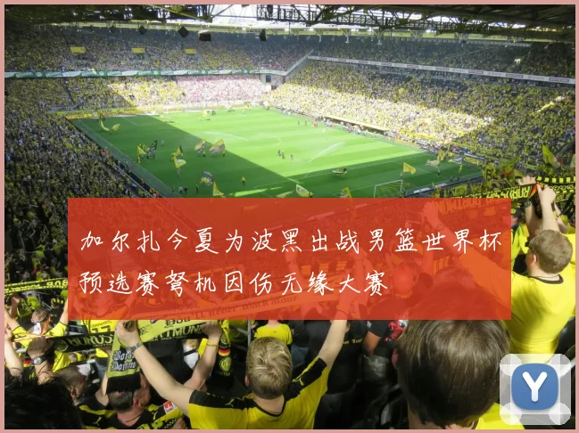 加尔扎今夏为波黑出战男篮世界杯预选赛弩机因伤无缘大赛